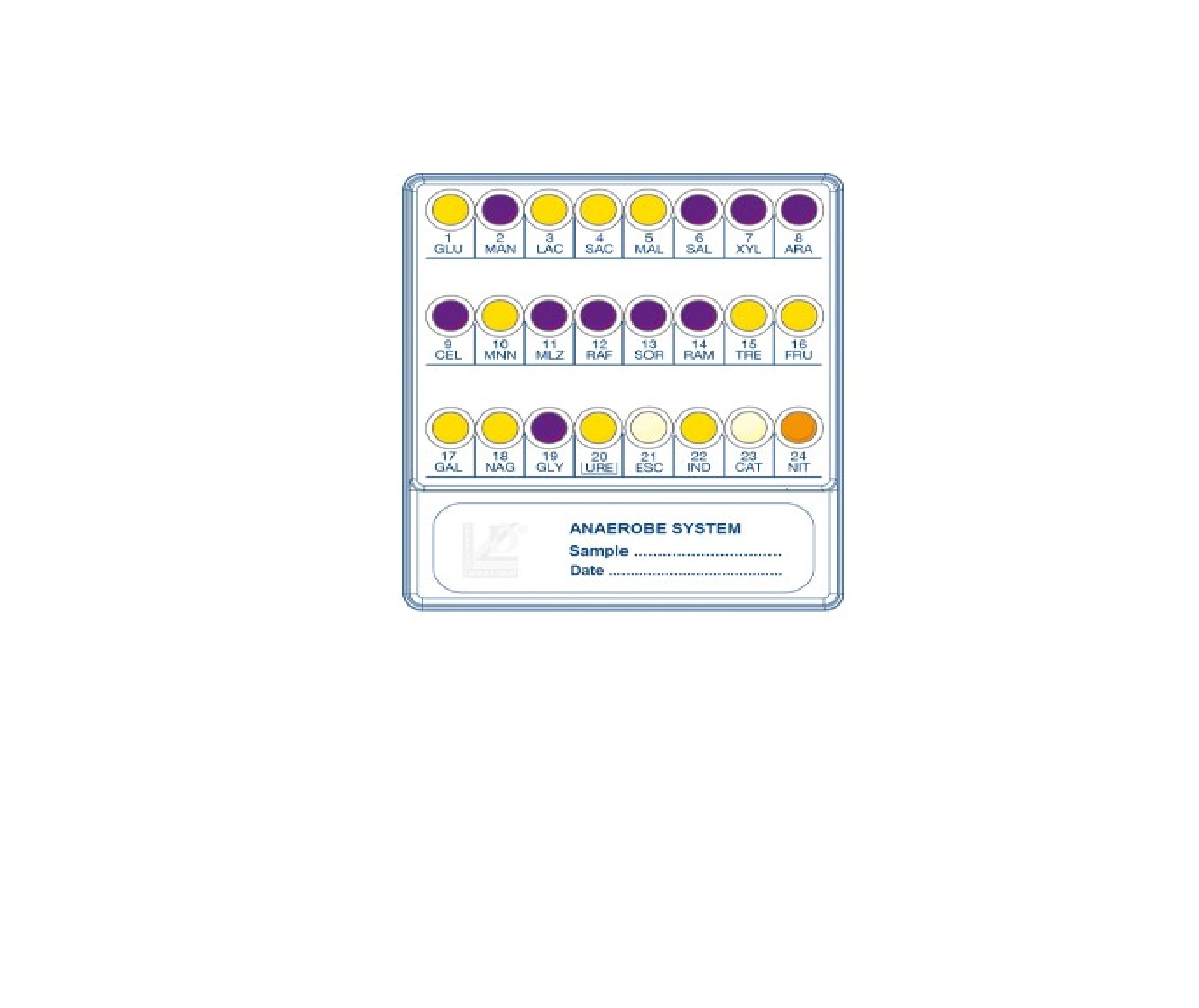 Microbial Identifications